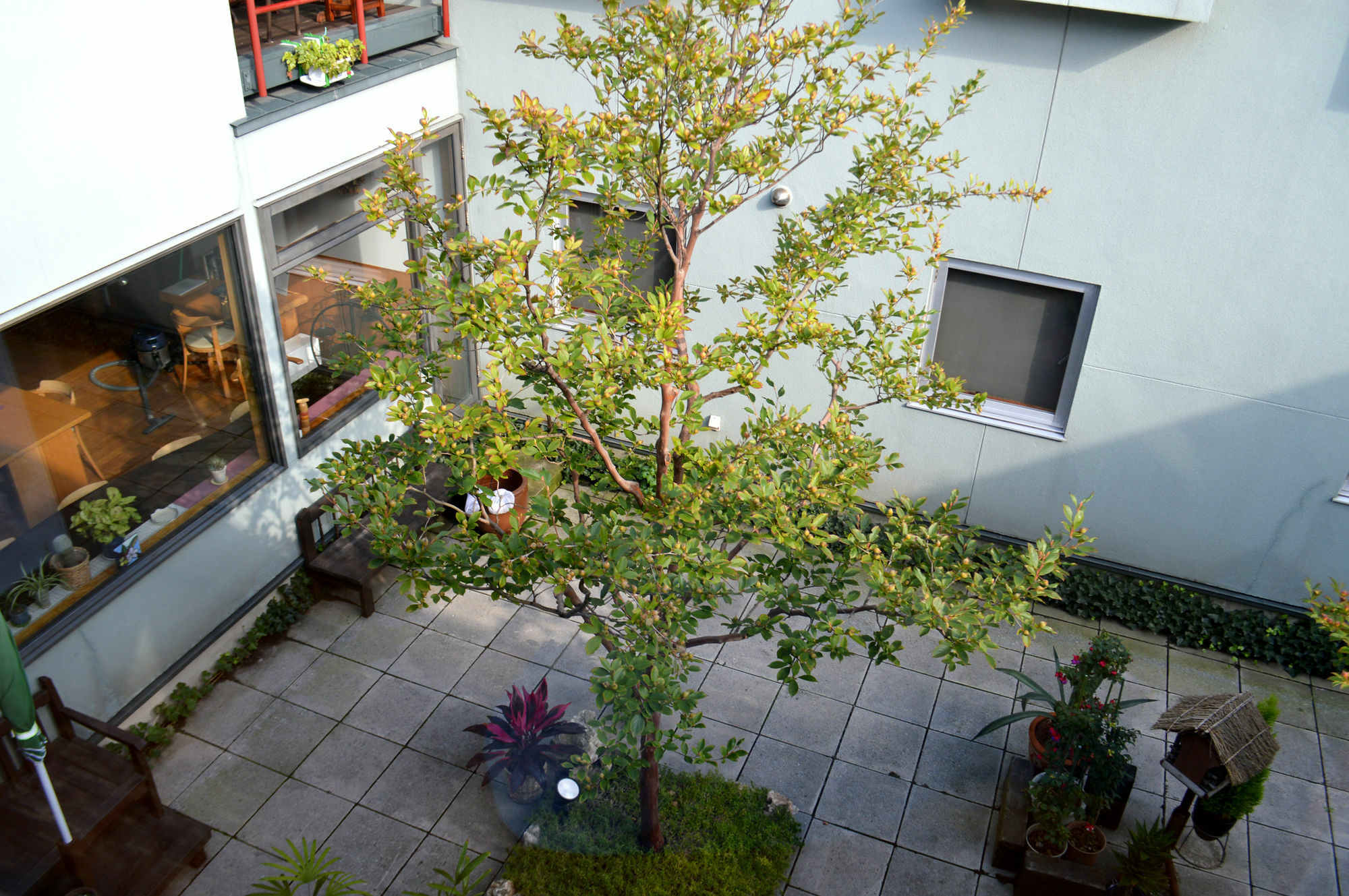 B&B Pension Hakodate-Mura المظهر الخارجي الصورة